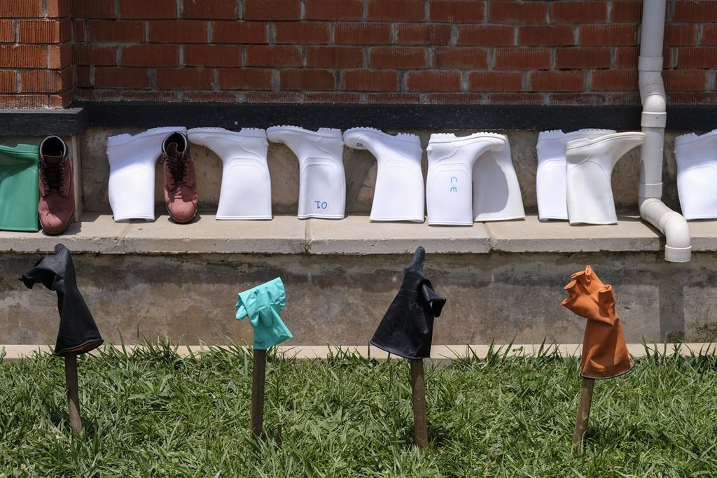 Ebola Cases Rise in Region as Vaccine Development Continues