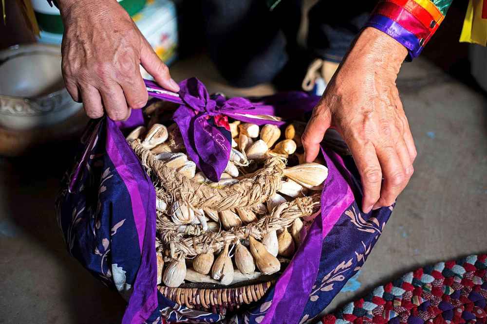 MIKAELA MACKENZIE / WINNIPEG FREE PRESS
Eugene Ross unties a willow basket full of braided wild turnips.