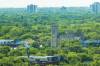 FILE: CANSTAR COMMUNITY NEWS
                                Virtually every mayoral and council candidate in the 2022 municipal election has signed the Trees Please Pledge.