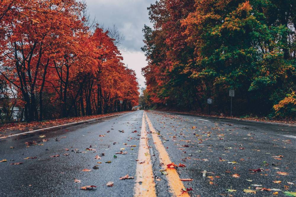 images./photos/1563356/pexels-photo-1563