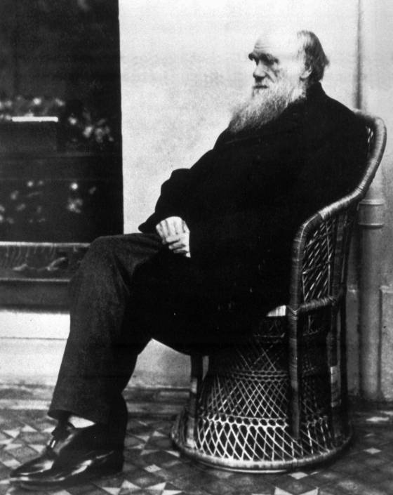 Charles Darwin in 1875 (The Canadian Press files)