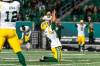 Heywood Yu / THE CANADIAN PRESS files
                                Edmonton Elks kicker Sergio Castillo celebrates after scoring the game-winning field goal against the Saskatchewan Roughriders earlier this season.