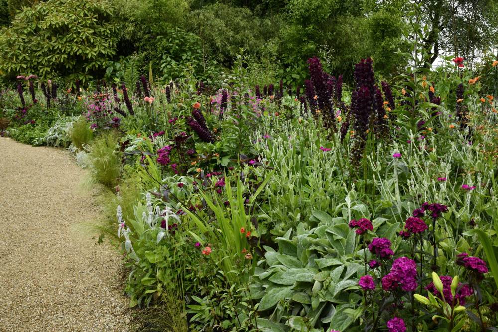Photos by Gary Lewis
The private garden of Irish horticulturist Jimi Blake achieves exuberance and playfulness through the use of colour and plant combinations.