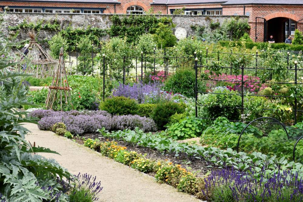 This historic walled garden in Ireland has grown fruits, vegetables, and flowers since the 18th century.