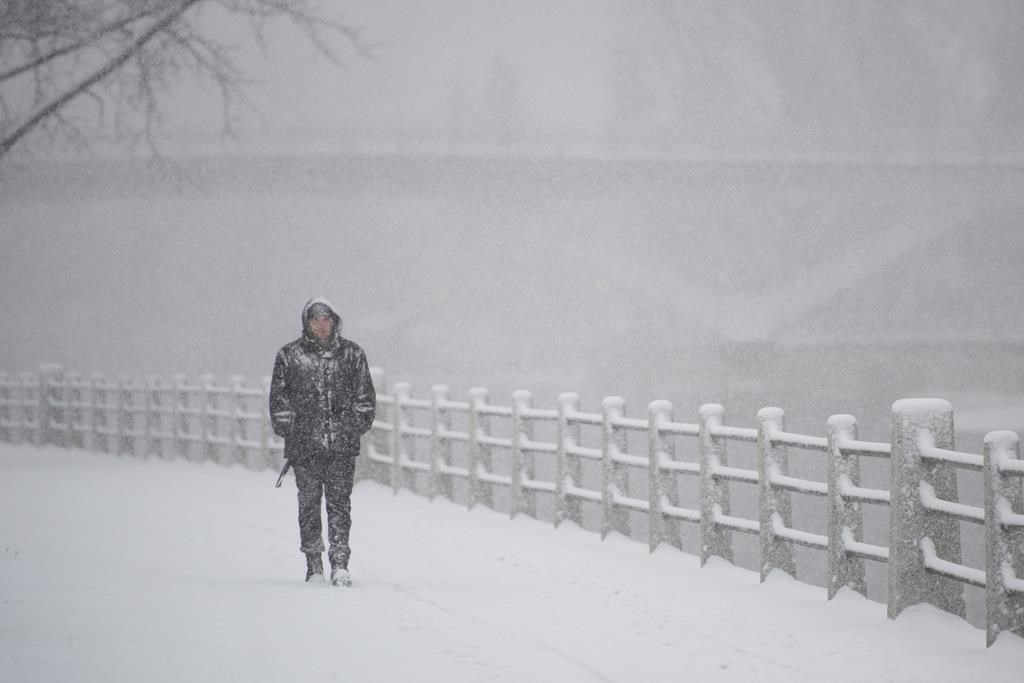 Environment Canada issues snow squall alerts for parts of southern