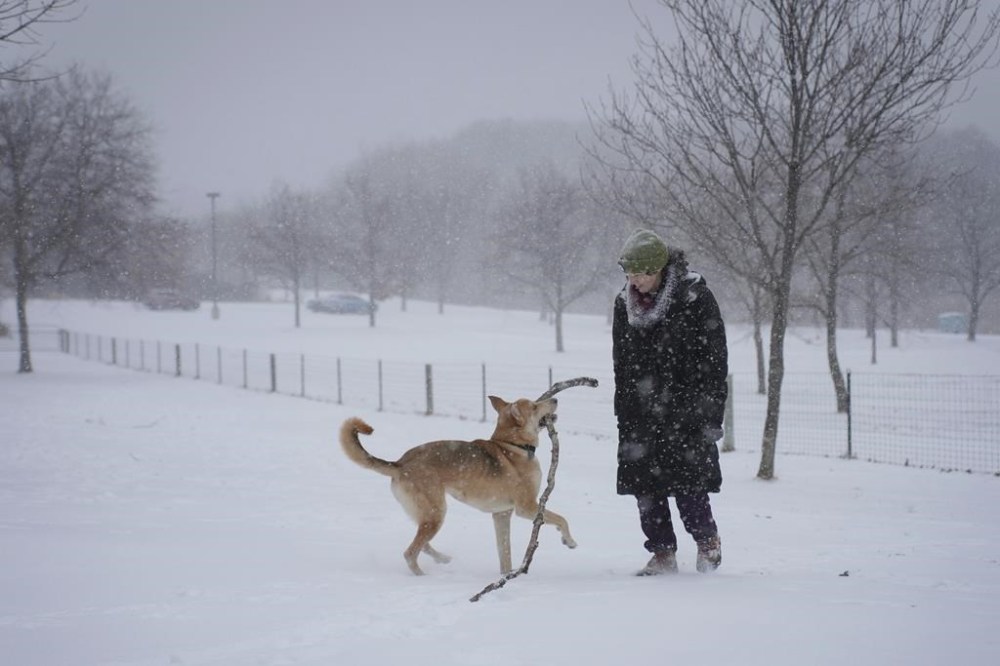 Colleen Somerville and her canine companion Cosmo play with an enormous stick at the Fish Lake Park Reserve dog park in Maple Grove, Minn., on Tuesday, Nov. 29, 2022. Cosmo is a Carolina Dog, which Somerville says is a