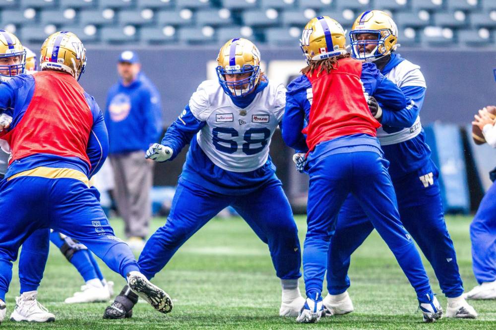 MIKAELA MACKENZIE / WINNIPEG FREE PRESS
In his fourth CFL season, Geoff Gray (68) has started all 18 games this year.