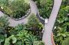 DANIEL CRUMP / WINNIPEG FREE PRESS
                                The Leaf offered select guests and supporters a sneak peek on Saturday of the thousands of trees, shrubs, flowers and other plants in the new 92,000-square-foot facility ahead of its opening to the public in time for the holiday season.