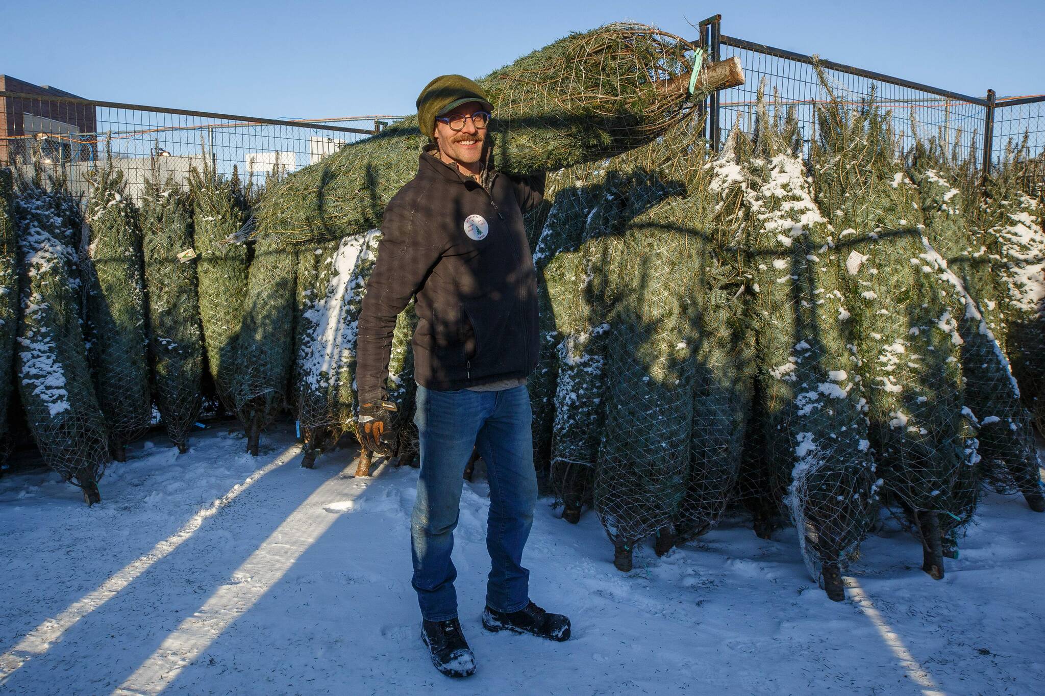 Christmas trees — like everything else — are more expensive Winnipeg