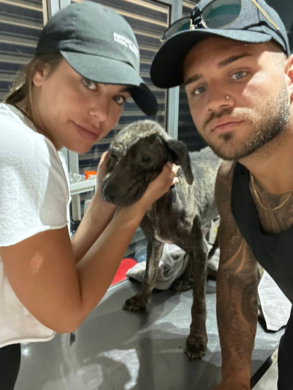 Supplied
Blumberg and Oliveira brought six dogs back from Mexico to Vancouver.