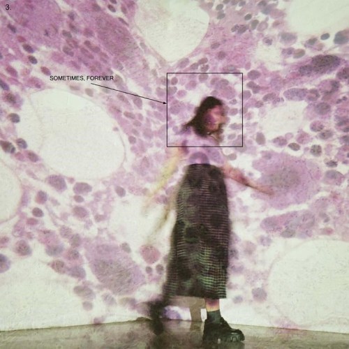 This image released by Loma Vista Records shows album art for 