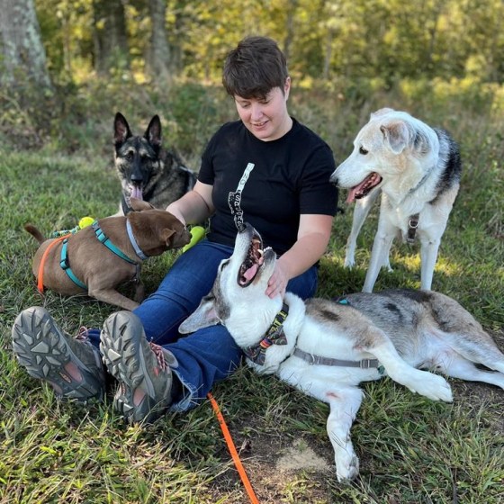 A little preparation goes a long way for people bringing their pets along on holiday home stays with loved ones. (Josh Mark Rickey / The Associated Press files)