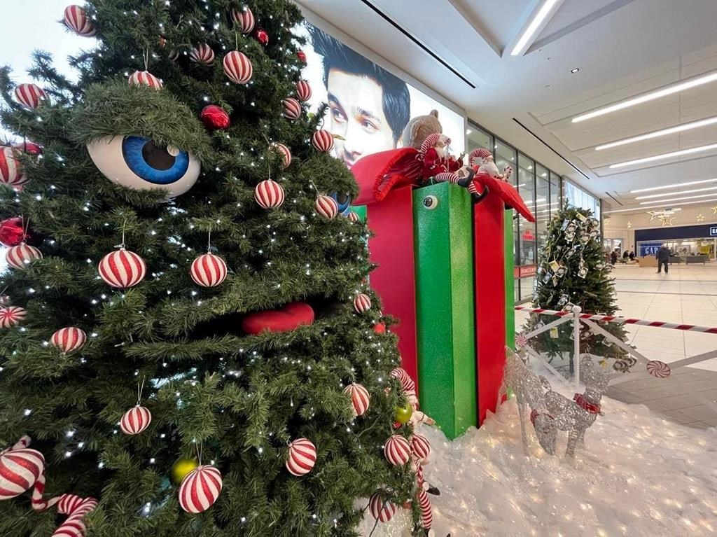 Think Woody’s weird? Meet the Happy Tree, Newfoundland’s own talking