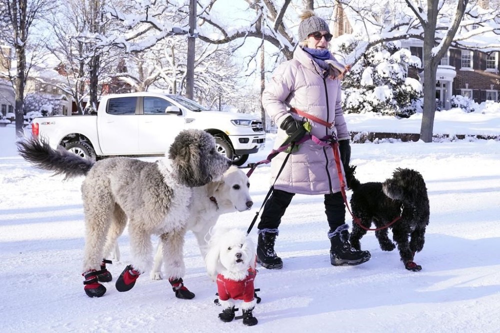 A dog walker named Courtney walks with her dogs near Lake of the Isles Thursday, Dec. 22, 2022, in Minneapolis. (AP Photo/Abbie Parr)
