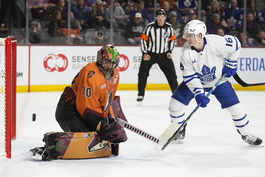 McBain scores 2 late goals, Coyotes top Maple Leafs 63 Winnipeg Free