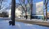 RUTH BONNEVILLE / WINNIPEG FREE PRESS
                                Anonymous workers at The Link, formerly Macdonald Youth Services, have sent letters asking Premier Heather Stefanson and Families Minister Rochelle Squires to launch an independent investigation and financial audit.