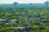 MIKAELA MACKENZIE / WINNIPEG FREE PRESS FILES
                                With Winnipeg’s urban canopy under threat from a variety of diseases, pests and environmental factors, it’s essential for city council to designate trees as essential infrastructure.