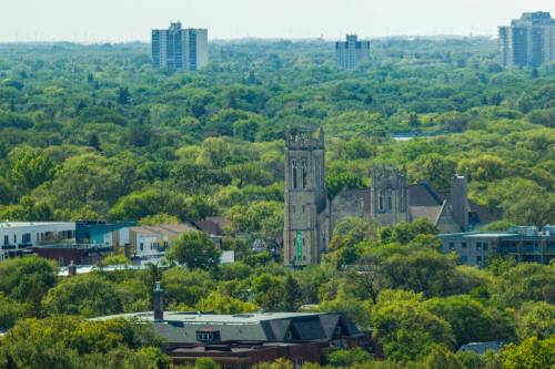 MIKAELA MACKENZIE / WINNIPEG FREE PRESS FILES
                                With Winnipeg&rsquo;s urban canopy under threat from a variety of diseases, pests and environmental factors, it&rsquo;s essential for city council to designate trees as essential infrastructure.