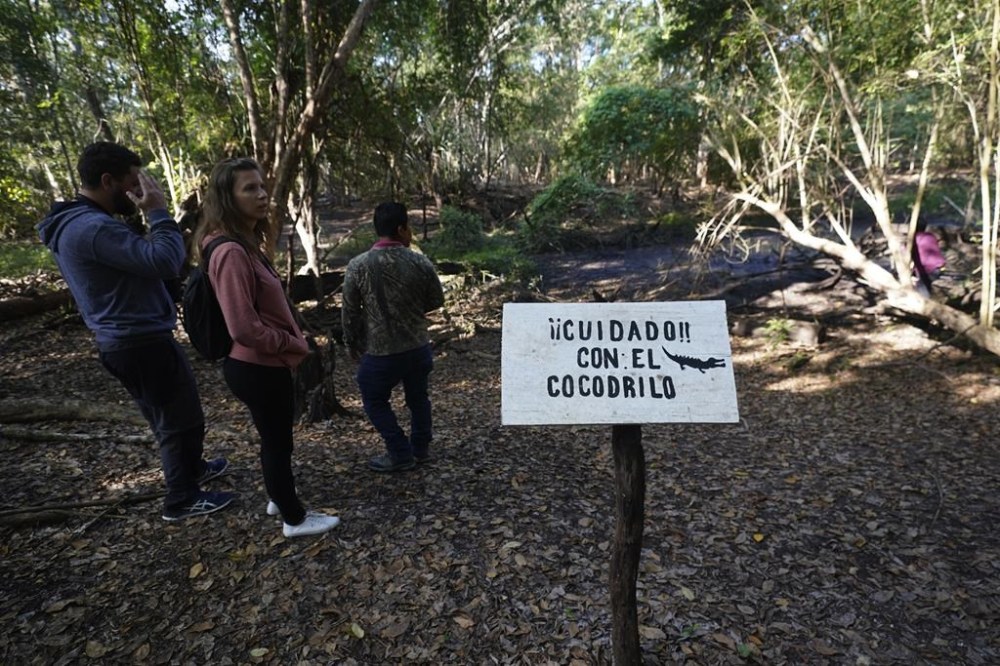 Tourists walk near a sign that reads ‘beware of the crocodile’ in the Calakmul Biosphere Reserve in the Yucatan Peninsula of Mexico on Wednesday, Jan. 11, 2023. Not too far from the crocodile wetland, bulldozers are felling the jungle for the Maya Train, a $20 billion dollar project envisioned by Mexican President Andrés Manuel López Obrador. (AP Photo/Marco Ugarte)