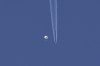 In this photo provided by Brian Branch, a large balloon drifts above the Kingston, N.C., area, with an airplane and its contrail seen below it. The federal defence minister says Canada 