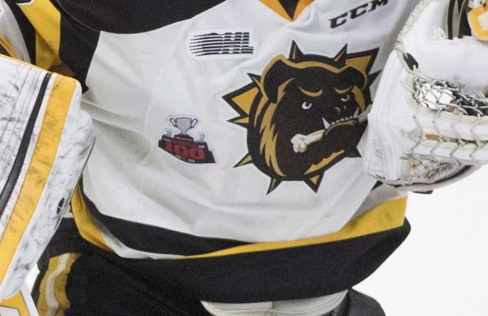 OHL Hamilton Bulldogs goalie Kaden Fulcher (33) makes a save against the Regina Pats during second period Memorial Cup semifinal action in Regina on Friday, May, 25, 2018.The Ontario Hockey League's Hamilton Bulldogs officially have a new home. The team announced Tuesday that it will relocate to Brantford, Ont., and play at the Brantford Civic Centre beginning next season.THE CANADIAN PRESS/Jonathan Hayward