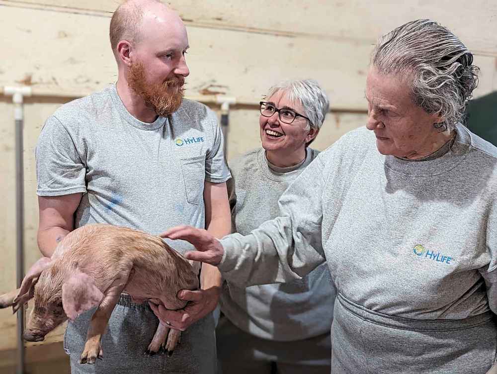 Chris Neufeld (left), who works in animal care and biosecurity at HyLife, shows a piglet off to Temple Grandin (right), a professor of animal science at Colorado State University, while Michelle Martel (centre), director of sow and nursery, looks on. (Submitted)