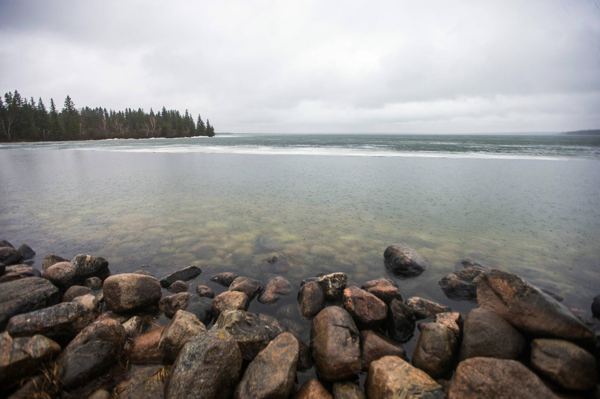 Genetic traces of zebra mussels found in Clear Lake – Winnipeg Free Press