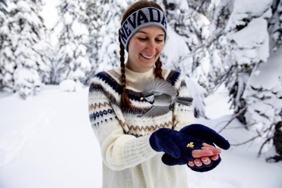 University student Michelle Werdann feeds a wild mountain chickadee pine nuts at Chickadee Ridge in Mount Rose Meadows, Nevada. (Jennifer Kent / University of Nevada, Reno / The Associated Press files)