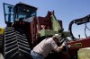 FILE - Farmer Nathan Weathers configures a high-power, high-tech quad-track tractor near his farm in Yuma, Colo, June 30, 2008. Lawmakers in Colorado and 10 other states have introduced bills that would force farming equipment manufacturers to provide the tools, software, parts and manuals needed for farmers to do their own repairs. The bills are a response to farmers unable to repair their own tractors and combines, forcing them to wait sometimes days and paying steep labor costs. (Brian Brainerd/The Denver Post via AP, file)