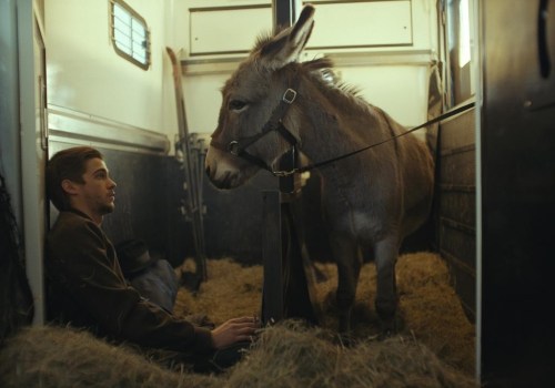 This image released by Sideshow and Janus Films shows Lorenzo Zurzolo in a scene from 