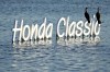 Cormorants sit on a Honda Classic sign near the 18th green during the third round of the Honda Classic golf tournament Saturday, Feb. 25, 2023, in Palm Beach Gardens, Fla. (AP Photo/Lynne Sladky)