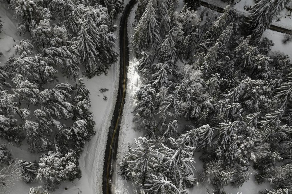 Snow-covered trees are seen along State Route 138 near Hesperia, Calif., Wednesday, March 1, 2023. Mountainous areas of California experienced nearly unprecedented snowfall accumulations - more than 40 feet since the start of the season. What is going on with all the snow? Meteorologists say the explanation for the robust winter season is not so simple. (AP Photo/Jae C. Hong)