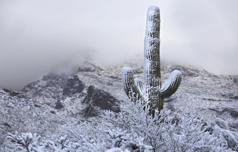 Snow coats the foothills of the Santa Catalina Mountains north of Tucson, Ariz., on March 2, 2023. Tucson International Airport received an inch of snow, the 7th highest March snow for one day on record, according to the National Weather Service. (Rick Wiley/Arizona Daily Star via AP)