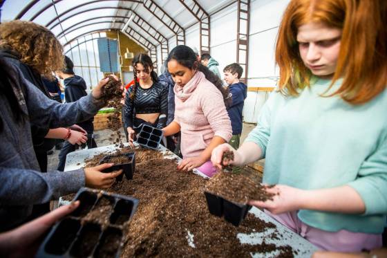 Middle-schoolers took a trip to their school division’s land-based learning facility to learn more about the indigenous plants native to West St. Paul. (Mikaela MacKenzie / Winnipeg Free Press)