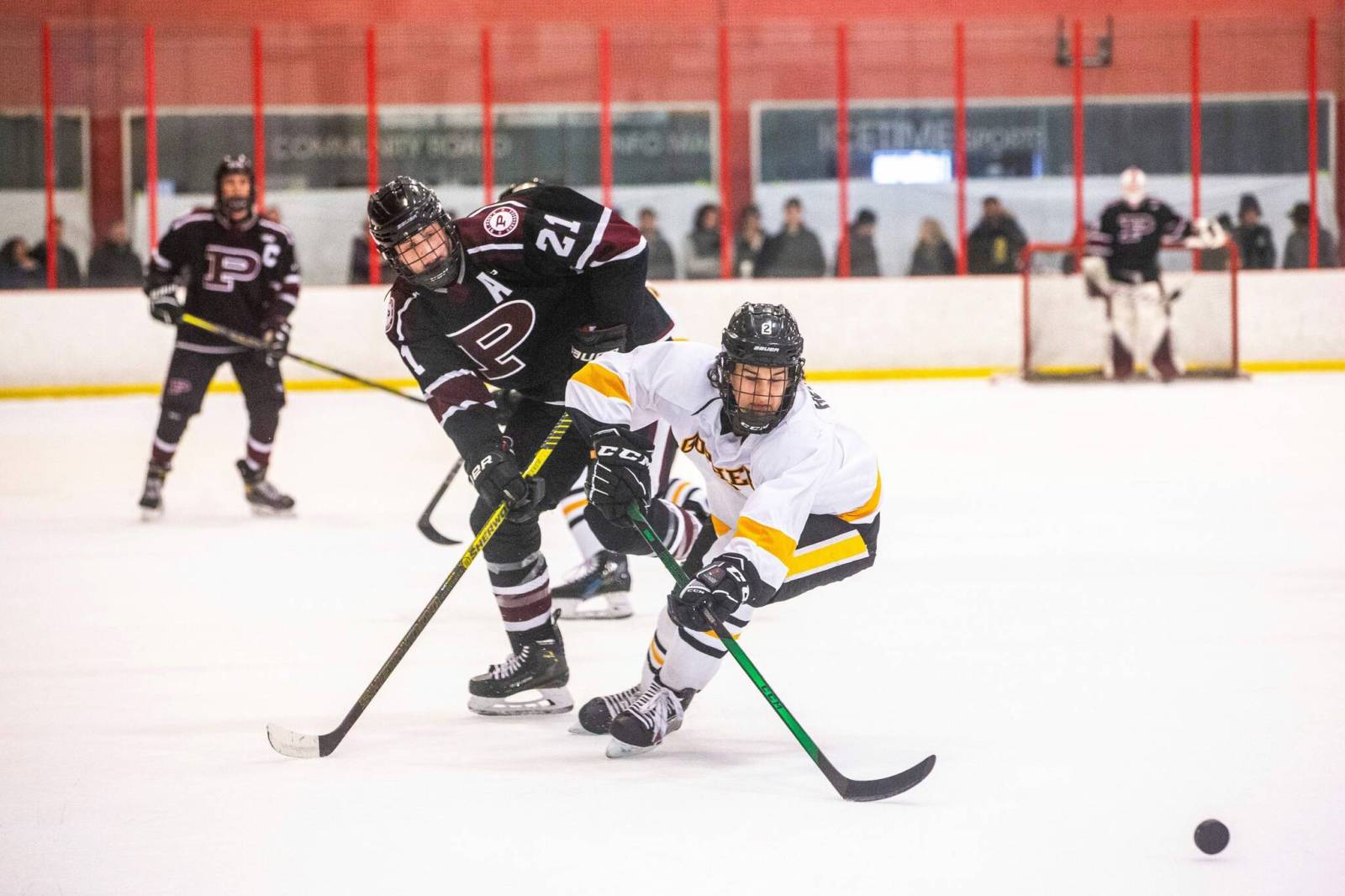 Top-ranked Fighting Gophers pursue provincial glory – Winnipeg Free Press