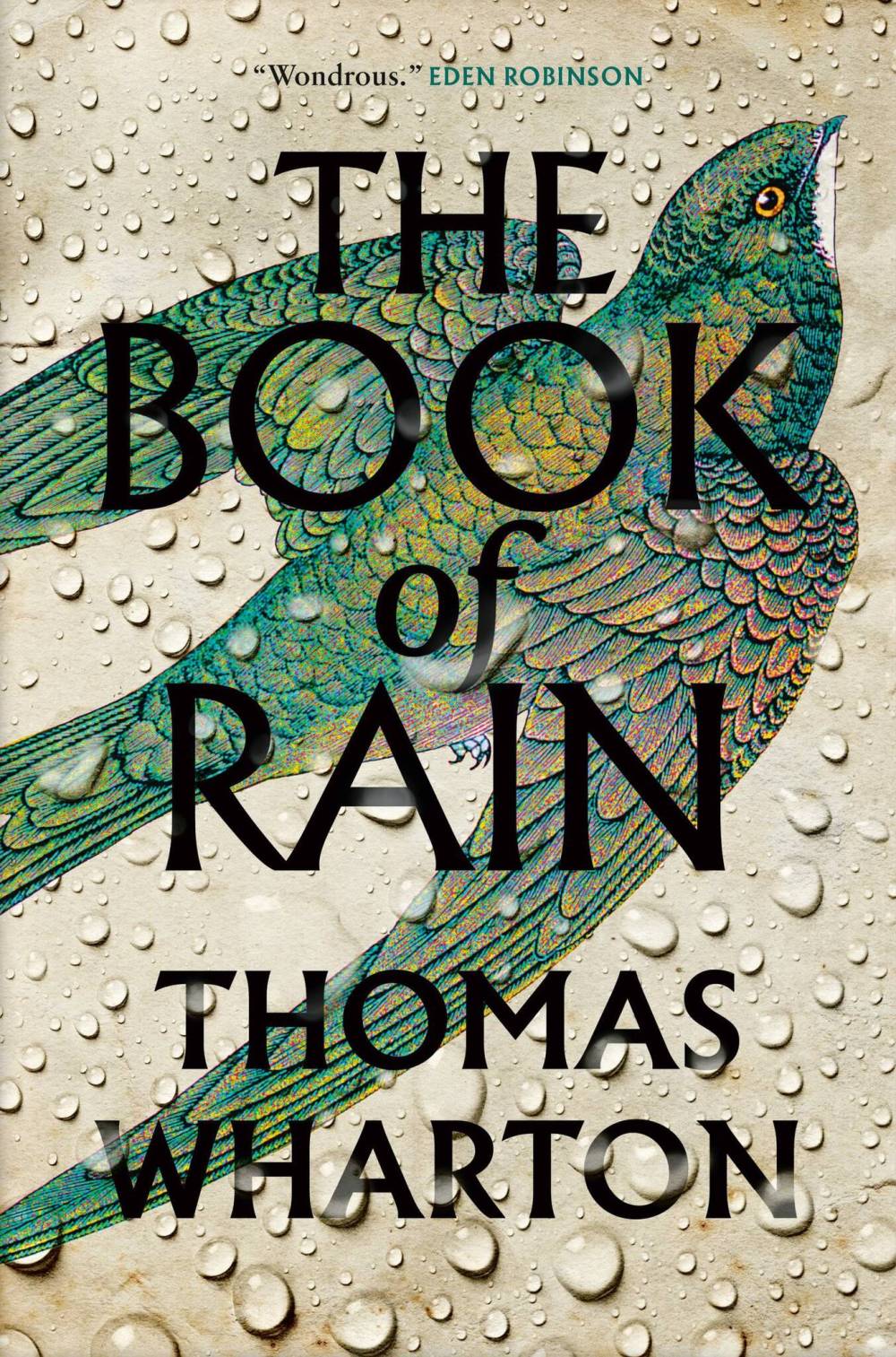 The Book of Rain