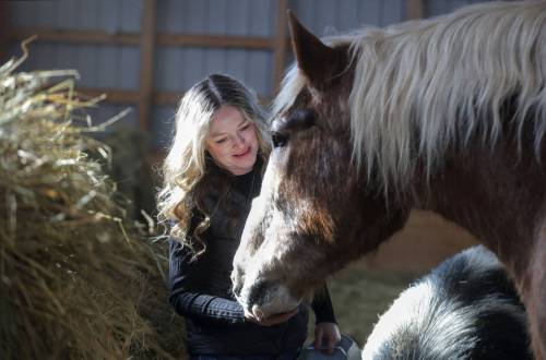 RUTH BONNEVILLE / WINNIPEG FREE PRESS
                                &lsquo;Anyone who has spent a lot of time with these highly sensitive, sentient animals knows they experience a wide range of complex emotions: joy, pain, distress and pleasure; have family bonds, and friendships no different than any other living being. Working with horses, we know these gentle giants feel very deeply&rsquo;
                                &mdash; Colleen Walker