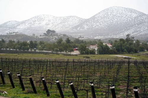 Marcio Jose Sanchez / The Associated Press files
                                From winemakers in California to startups across the Atlantic Ocean, companies are scrambling to figure out how to manage their finances after their bank, Silicon Valley Bank, suddenly shut down earlier this month.