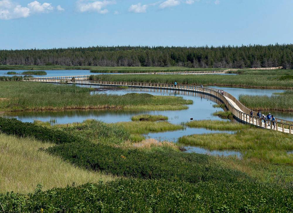 Andrew Vaughn/The Canadian Press Files
Wetlands help to filter contaminants out of the water we drink and also help to retain and store water.