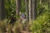 Luke List hits out of the woods along the 10th fairway during the second round of the Players Championship golf tournament Friday, March 10, 2023, in Ponte Vedra Beach, Fla. (AP Photo/Eric Gay)