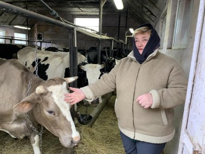 Lyuba Pastushok tends to her growing herd of cattle on her family farm in Holoskyovchi in western Ukraine on Feb. 20, 2023. THE CANADIAN PRESS/Laura Osman