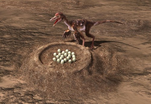 A Troodon stands near a nest in this illustration provided by Masato Hattori. The birds we see today are a form of meat-eating dinosaurs that learned to fly and survived mass extinction 66 million years ago, but little is known about their transition. THE CANADIAN PRESS/HO-Masato Hattori **MANDATORY CREDIT **