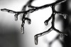 Thousands of people in Ontario are without power as a messy mix of freezing rain and thunderstorms pummeled parts of the province, with downpours and possible ice storms in the forecast. Ice covers a tree in Chicago, Wednesday, Feb. 22, 2023. THE CANADIAN PRESS/AP/Nam Y. Huh