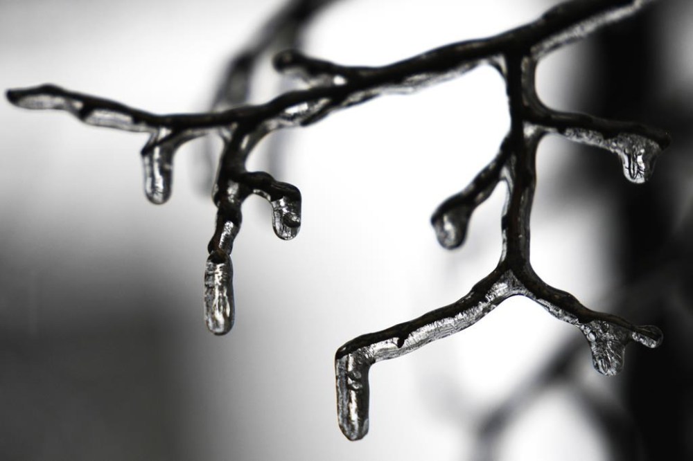 Thousands of people in Ontario are without power as a messy mix of freezing rain and thunderstorms pummeled parts of the province, with downpours and possible ice storms in the forecast. Ice covers a tree in Chicago, Wednesday, Feb. 22, 2023. THE CANADIAN PRESS/AP/Nam Y. Huh