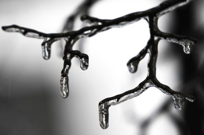 Thousands of people in Ontario are without power as a messy mix of freezing rain and thunderstorms pummeled parts of the province, with downpours and possible ice storms in the forecast. Ice covers a tree in Chicago, Wednesday, Feb. 22, 2023. THE CANADIAN PRESS/AP/Nam Y. Huh