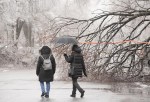 People make their way around a fallen tree following an ice storm in Montreal, Thursday, April 6, 2023. More than one million customers in Quebec and Ontario were without power Wednesday after a messy mix of freezing rain and thunderstorms pummeled parts of both provinces.THE CANADIAN PRESS/Graham Hughes