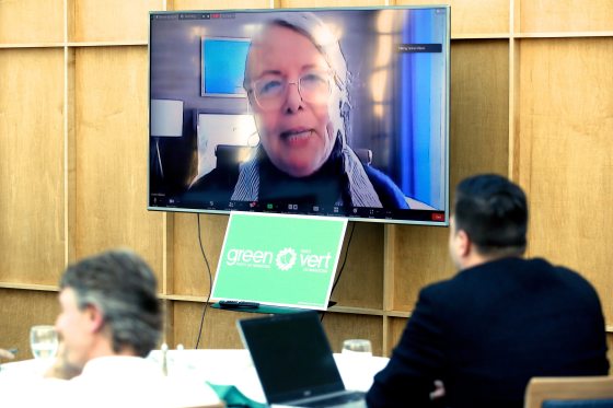 Janine Gibson, who did not attend in person for the Green Party of Manitoba AGM at Assiniboine Park, was announced as its next leader Sunday. (John Woods / Winnipeg Free Press)