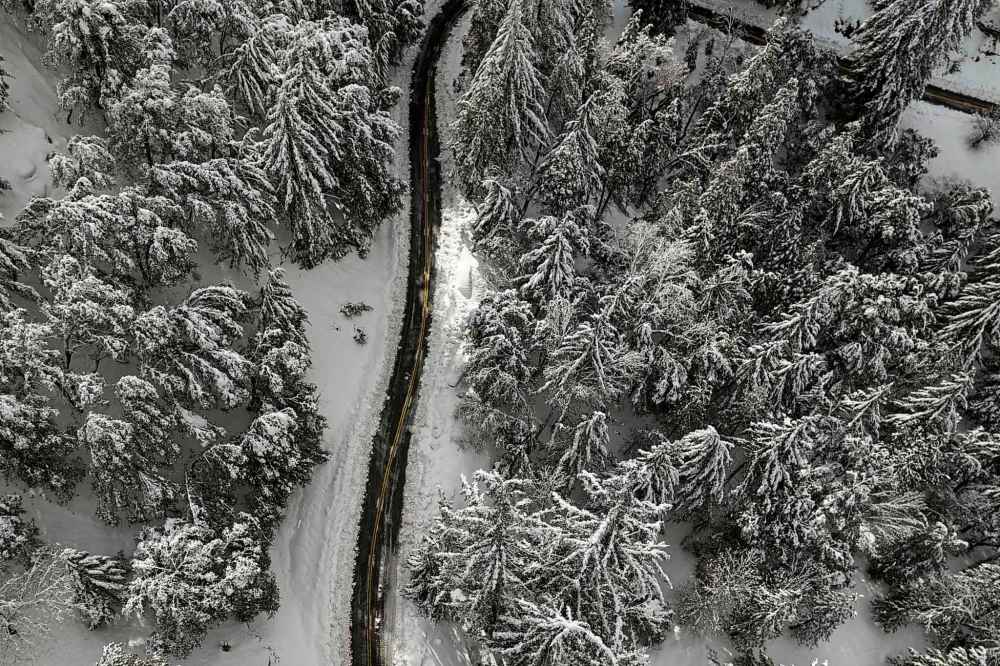 Snow-covered trees are seen along State Route 138 near Hesperia, Calif., Wednesday, March 1, 2023. Mountainous areas of California experienced nearly unprecedented snowfall accumulations - more than 40 feet since the start of the season. What is going on with all the snow? Meteorologists say the explanation for the robust winter season is not so simple. (AP Photo/Jae C. Hong)