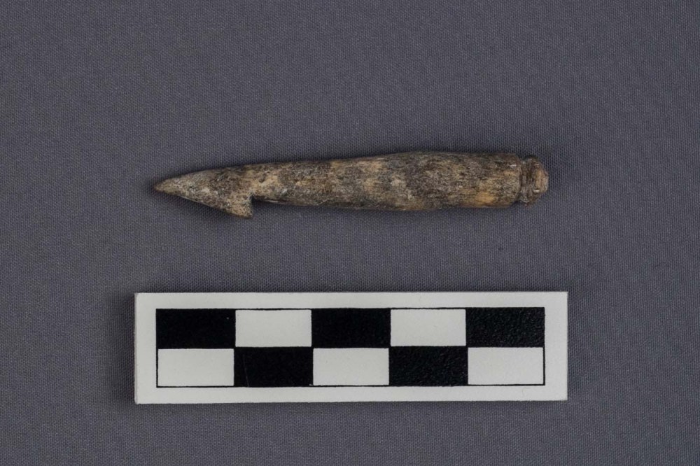 Harpoon
