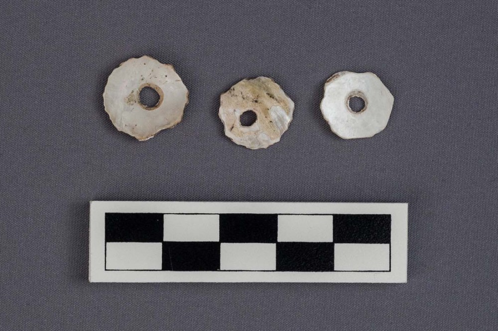 shell beads